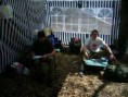 /album/spionaz/img-6116-jpg/